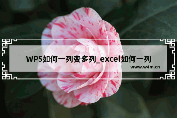 WPS如何一列变多列_excel如何一列变多列