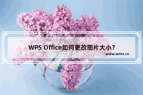 WPS Office如何更改图片大小？