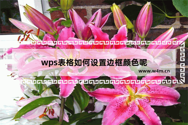 wps表格如何设置边框颜色呢