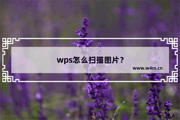 wps怎么扫描图片？