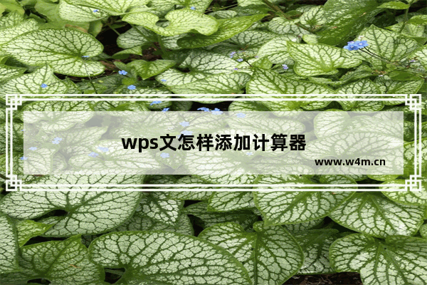 wps文怎样添加计算器