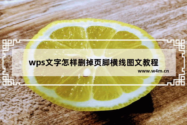 wps文字怎样删掉页脚横线图文教程