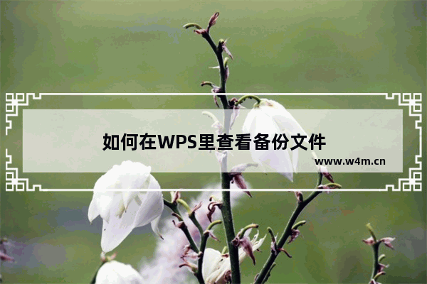 如何在WPS里查看备份文件