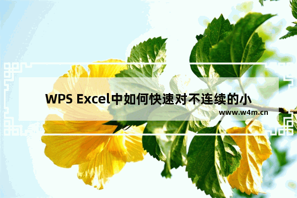 WPS Excel中如何快速对不连续的小计行求和