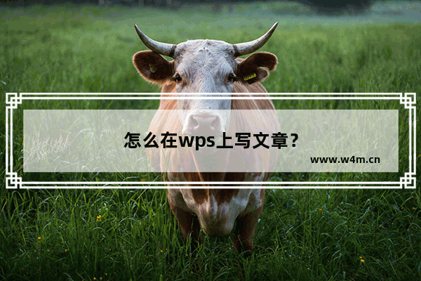 怎么在wps上写文章？