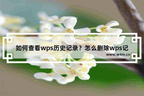 如何查看wps历史记录？怎么删除wps记录