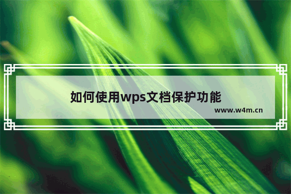 如何使用wps文档保护功能