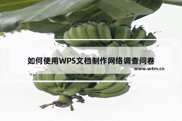 如何使用WPS文档制作网络调查问卷