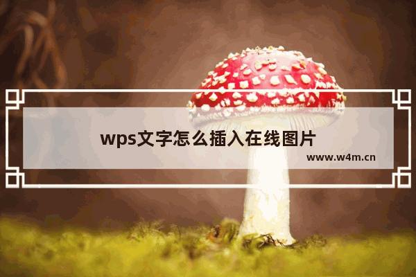 wps文字怎么插入在线图片