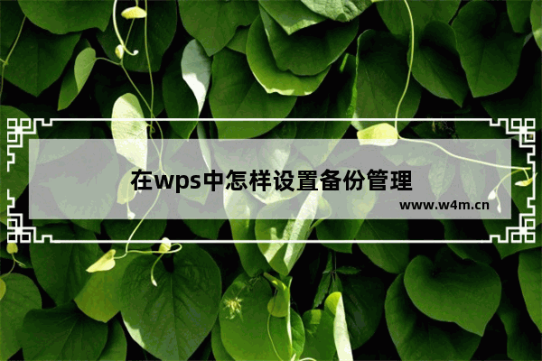 在wps中怎样设置备份管理