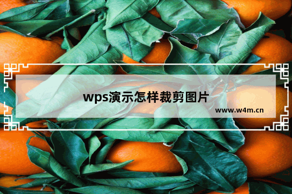 wps演示怎样裁剪图片