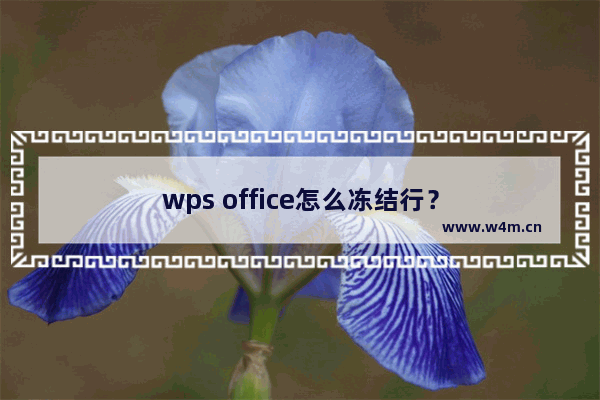 wps office怎么冻结行？