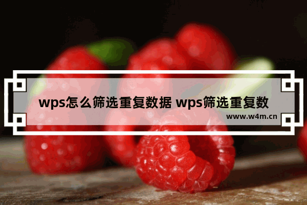 wps怎么筛选重复数据 wps筛选重复数据方法