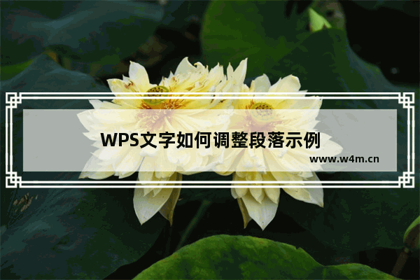 WPS文字如何调整段落示例