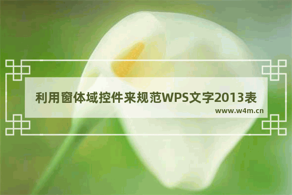 利用窗体域控件来规范WPS文字2013表格数据的填写