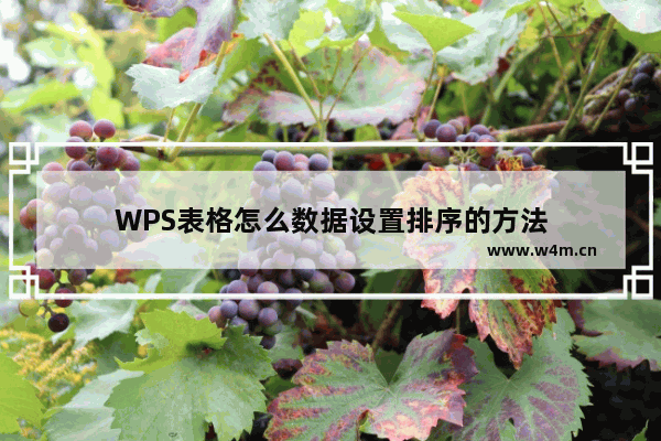 WPS表格怎么数据设置排序的方法