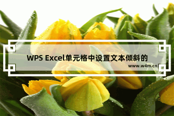 WPS Excel单元格中设置文本倾斜的方法