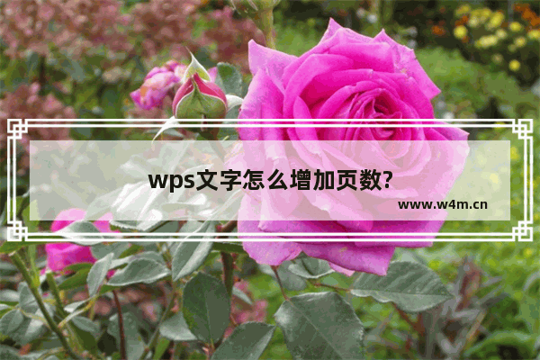 wps文字怎么增加页数?