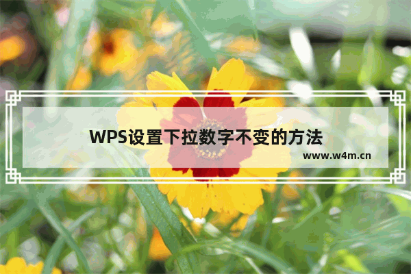 WPS设置下拉数字不变的方法