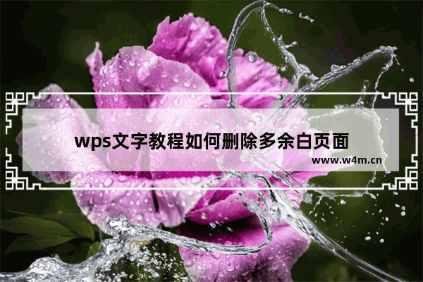 wps文字教程如何删除多余白页面