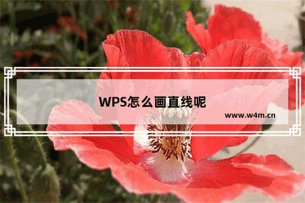 WPS怎么画直线呢