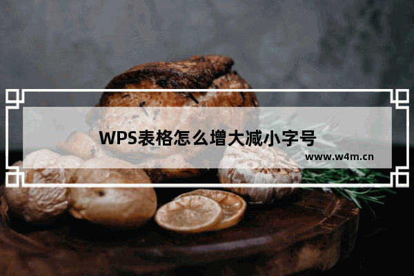 WPS表格怎么增大减小字号