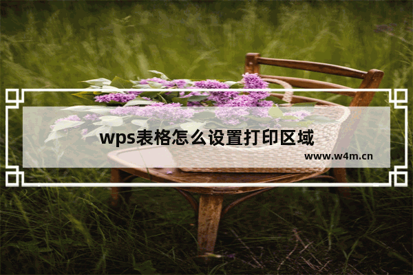 wps表格怎么设置打印区域