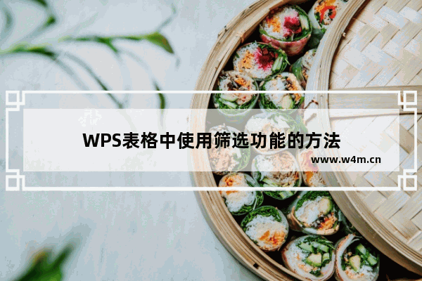 WPS表格中使用筛选功能的方法