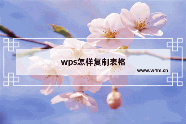 wps怎样复制表格