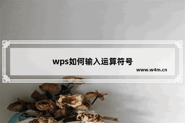 wps如何输入运算符号