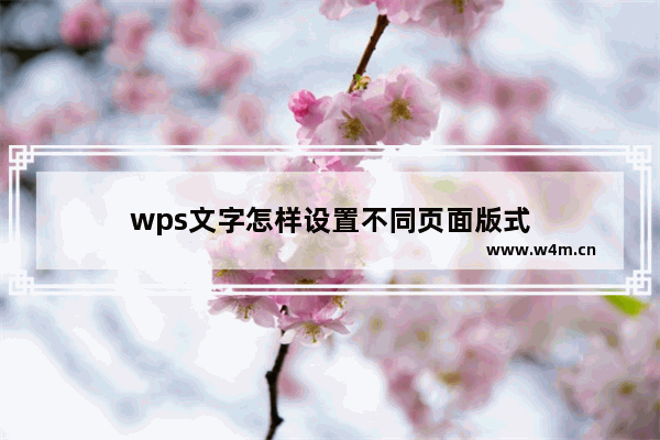 wps文字怎样设置不同页面版式