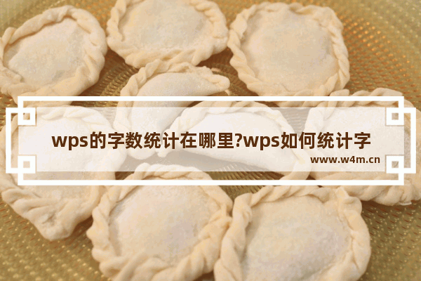 wps的字数统计在哪里?wps如何统计字数?