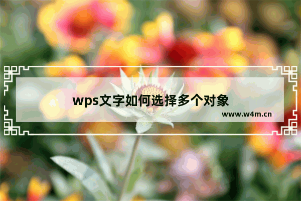 wps文字如何选择多个对象