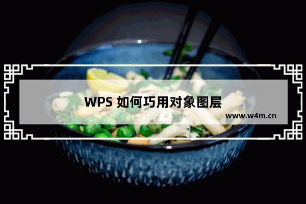 WPS 如何巧用对象图层