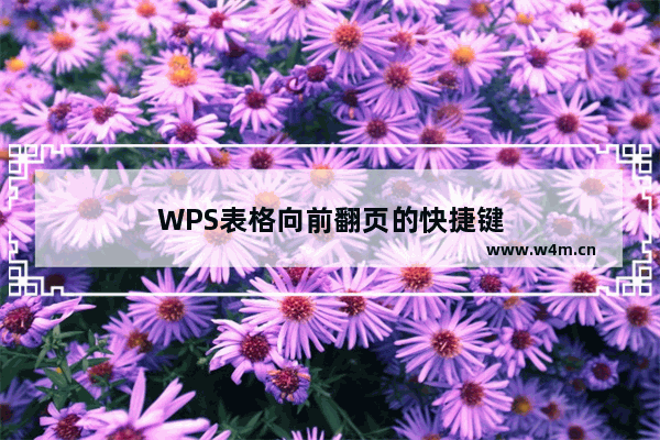 WPS表格向前翻页的快捷键