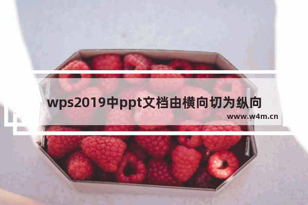 wps2019中ppt文档由横向切为纵向的图文方法【详解】