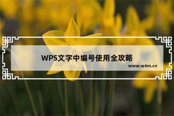 WPS文字中编号使用全攻略