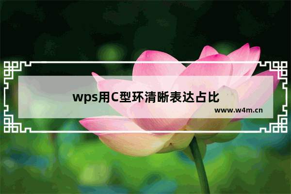 wps用C型环清晰表达占比