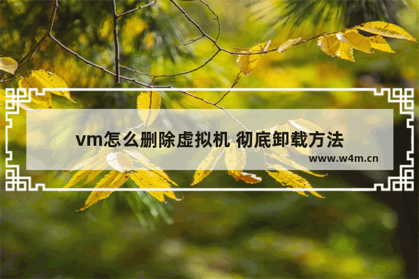 vm怎么删除虚拟机 彻底卸载方法