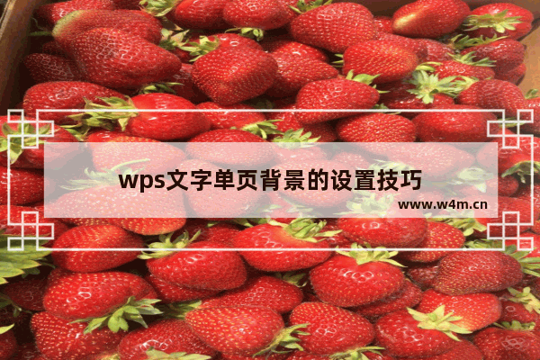 wps文字单页背景的设置技巧