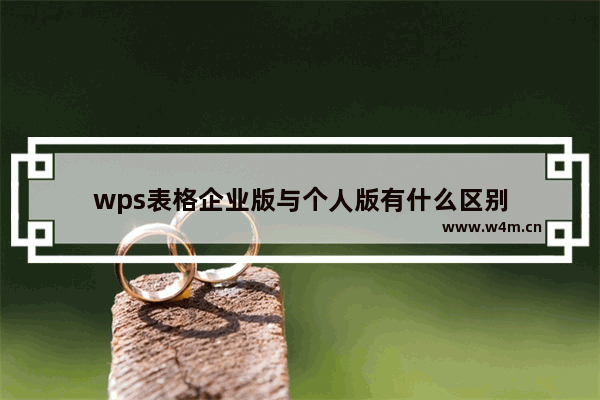 wps表格企业版与个人版有什么区别