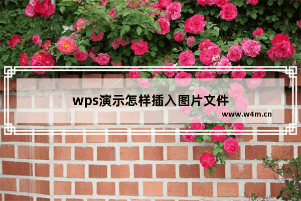 wps演示怎样插入图片文件