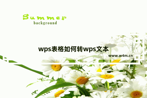 wps表格如何转wps文本