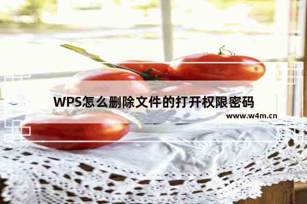 WPS怎么删除文件的打开权限密码