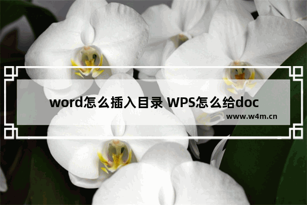 word怎么插入目录 WPS怎么给doc文档添加目录