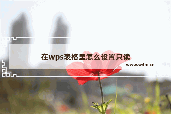 在wps表格里怎么设置只读