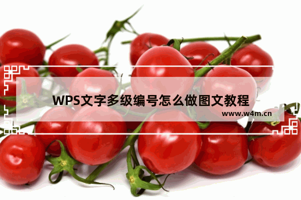 WPS文字多级编号怎么做图文教程