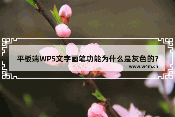 平板端WPS文字画笔功能为什么是灰色的？