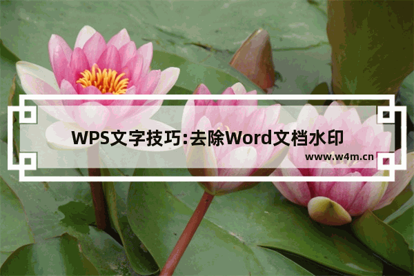 WPS文字技巧:去除Word文档水印