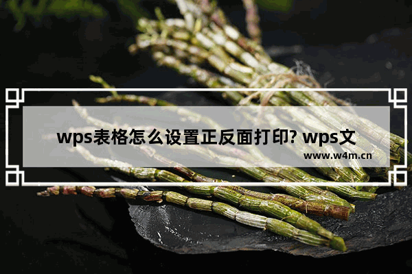 wps表格怎么设置正反面打印? wps文档双面打印的教程